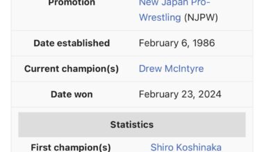 IWGP Junior Heavyweight title match Drew McIntyre vs CM Punk: SummerSlam 2024