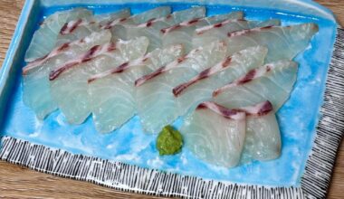 Madai sashimi