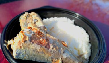 Ririka Tanabe Mackerel and Sticky Rice Remake (田鍋梨々花ご飯)