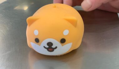 Where to find this squeeze toy?