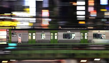 Snake on a train: snake found on Yamanote line causes commotion in Tokyo, none hurt. The snake was handed over to the police.