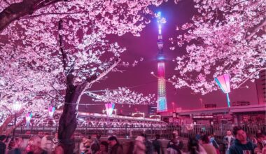 Seeing pink along the Sumida River Walk, Tokyo 2024