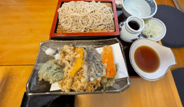 Soba and vegetable tempura today