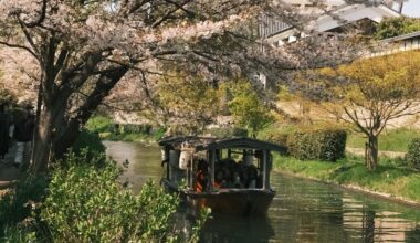 My Japan trip during Cherry Blossom seasom