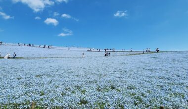 Hitachi Seaside Park