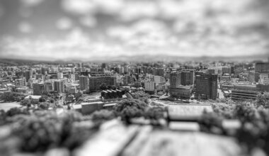 View from Kumamoto castle.