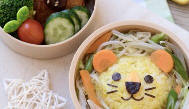 Lion themed bento 🦁