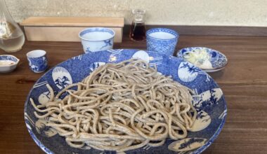 Best soba noodles ever in Kyoto