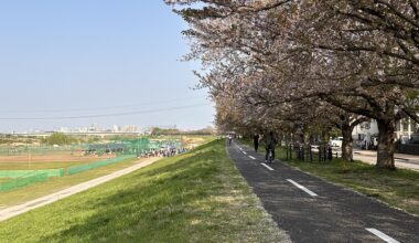 Cycling route near tamagawa during cherry blossom season