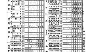 Actual Tax on ¥100M income