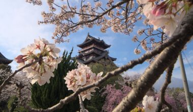 Fushimi Momoyama Castle during the Sakura bloom