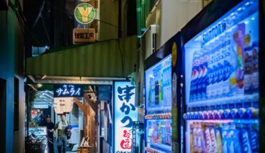 Back Alley in Dotonbori, Osaka