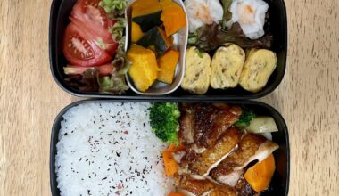 A week’s worth of man-sized bento