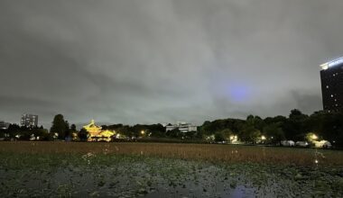 At Ueno park tonight. What’s the purple light??