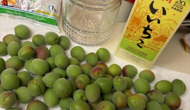 Umeshu season