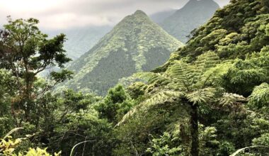 Yakushima