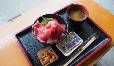 Unreal fresh tuna bowl in Katsuura (and the view was amazing too)