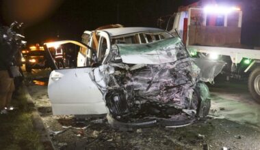 Deer causing road chaos in Hokkaido as crashes hit record high