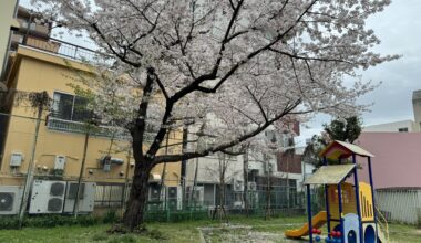 A small park in Denden Town