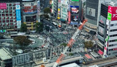 This pic I took from shibuya sky