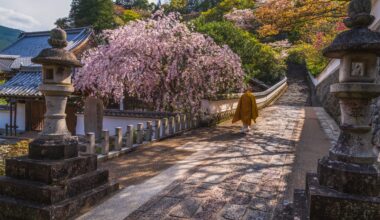 Evening Commute, Hasedera