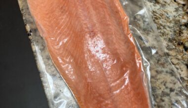 How to defrost this giant ass salmon block?