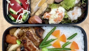 Teriyaki chicken bento