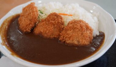 Differences between Japanese curry and American/European ones