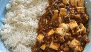 Japanese Mabo Tofu