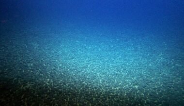 200 million tons of rare metal rocks found in seabed off Japan island