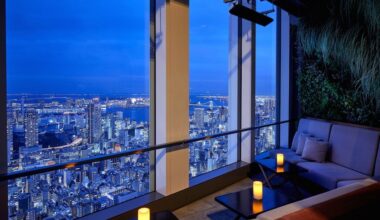 13 best rooftop bars and restaurants with the best views of Tokyo