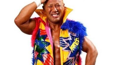 Hey look, it's Honma!