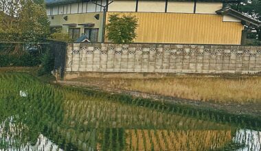 House in reflection of Rice field taken from Shinkansen.