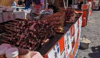 Grilled octopus skewer at Ueno Park in Taito, Tokyo