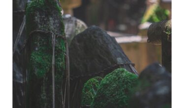 Stones of Fushimi Inari shrine