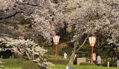 Kanazawa in spring 🌸