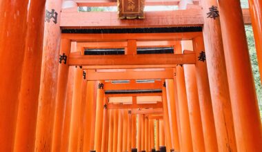 Currently in Fushimi Inari.