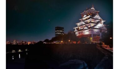 Osaka castle by night