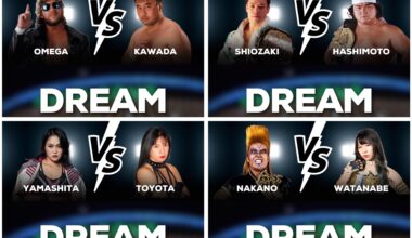 “Dream” PPV (you have one event. one night, to create the dream PPV that consists of singles matches… what’s your card looking like?)