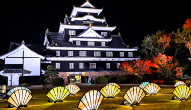 Okayama Castle At Night, Nov 2022