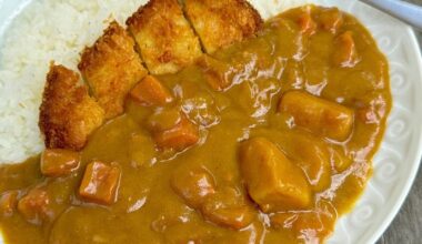 Katsu Curry (⁠ ⁠◜⁠‿⁠◝⁠ ⁠)⁠♡