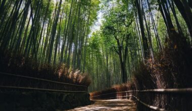 Japan without the crowds (almost), Kansai version (Osaka - Kyoto - Nara) [OC]