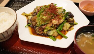 Pork and Eggplant Sauteed in Miso