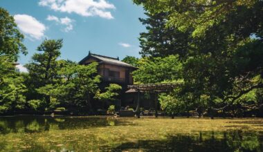 Kyoto Sunshine