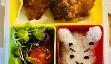 Karaage bento for my wife’s lunch today ❤️