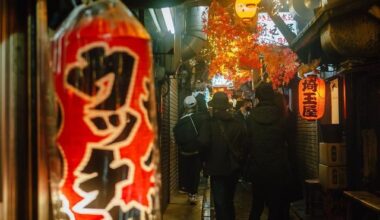 Omoide Yokocho with the best decorations - autumn leaves