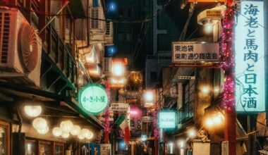 One of Tokyo's lesser known Yokocho alleys.