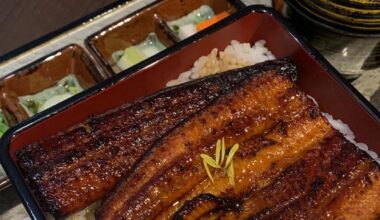 Unagi