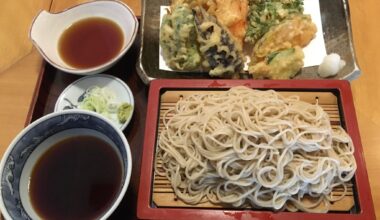 Mori soba and Yasai tempura (tenseiro)