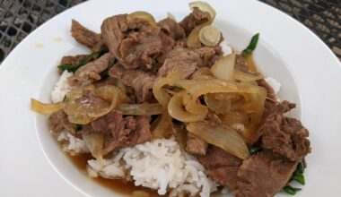 homemade gyudon (I did my best)